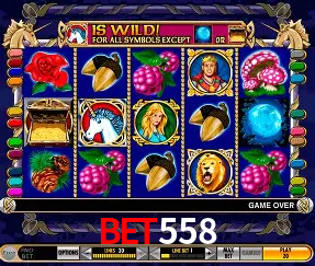 Descubra o Mundo do Cassino Online com bet558
